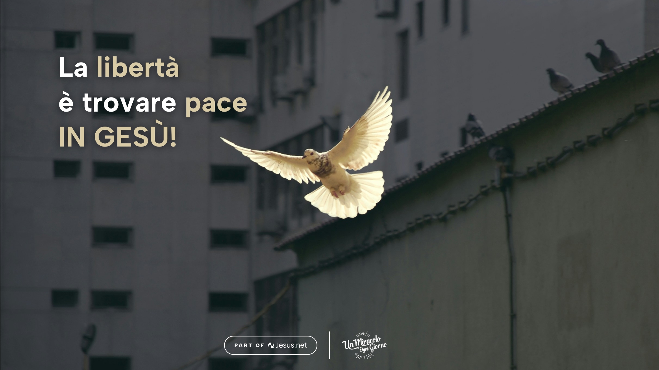 Ricevi la pace di Dio