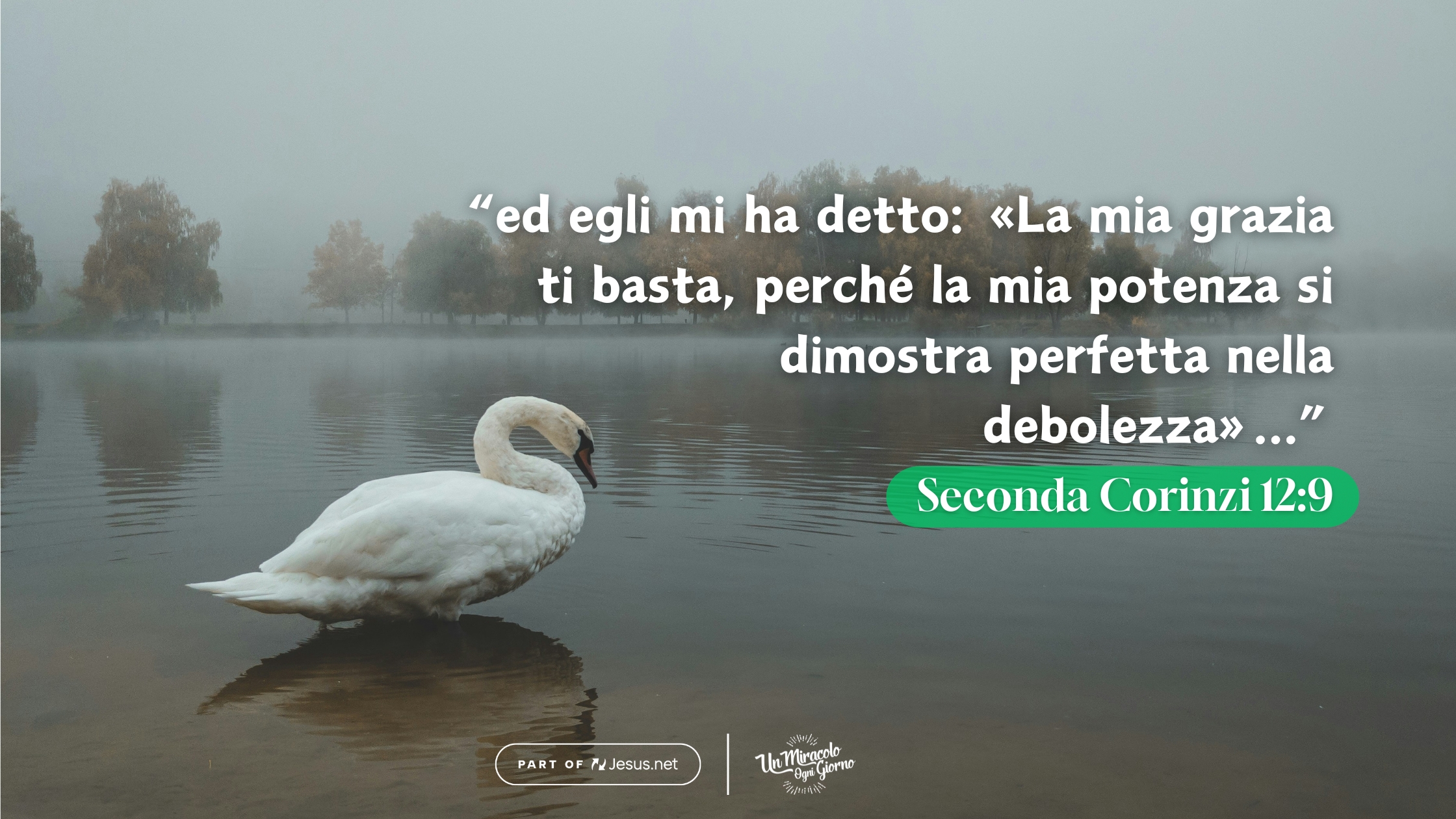 Continuiamo a camminare nella gratitudine