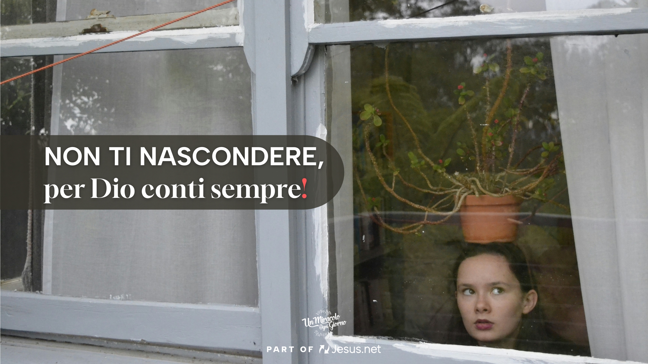 Non sei uno sconosciuto