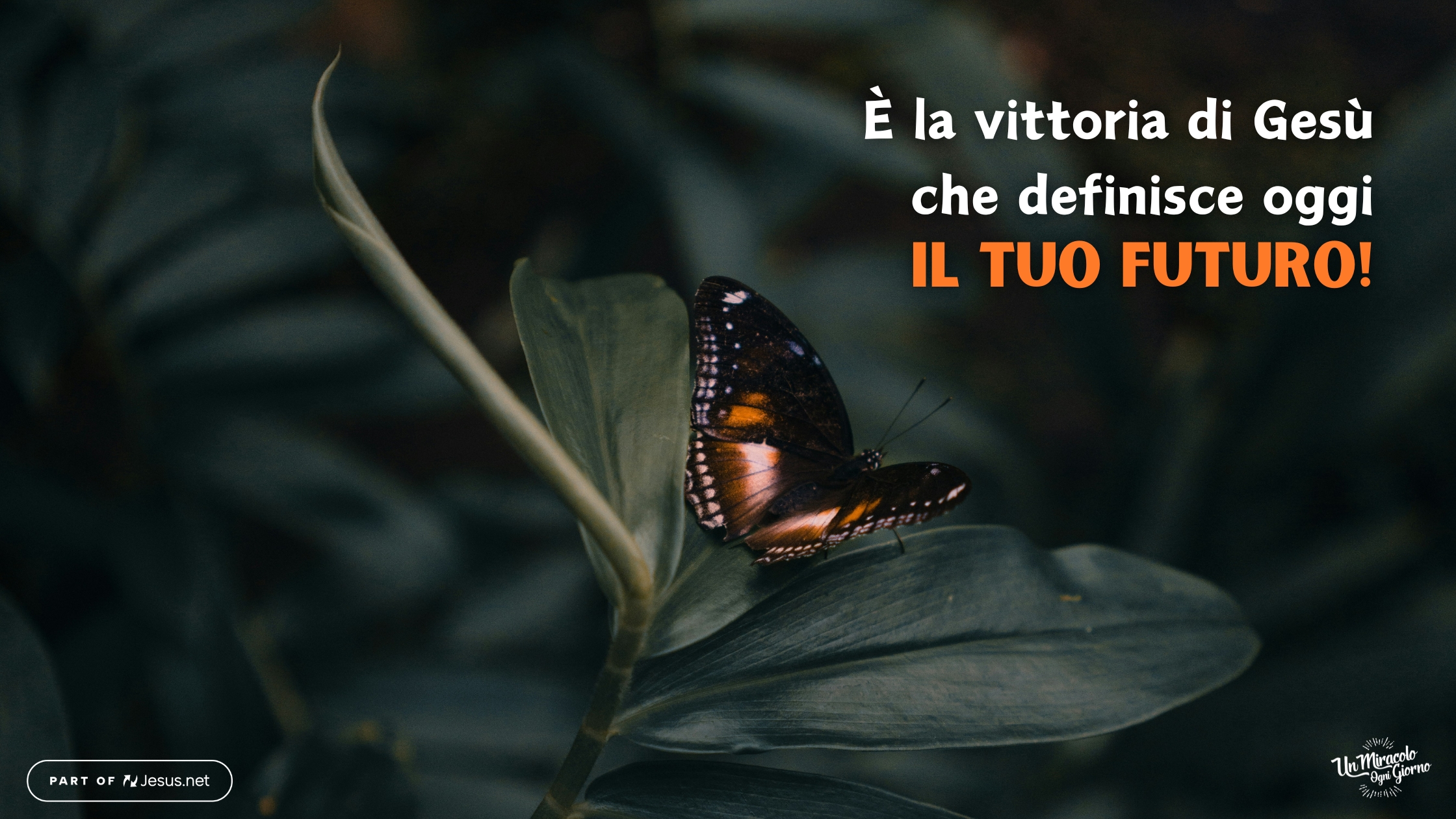 Pietro, sei una nuova creazione!