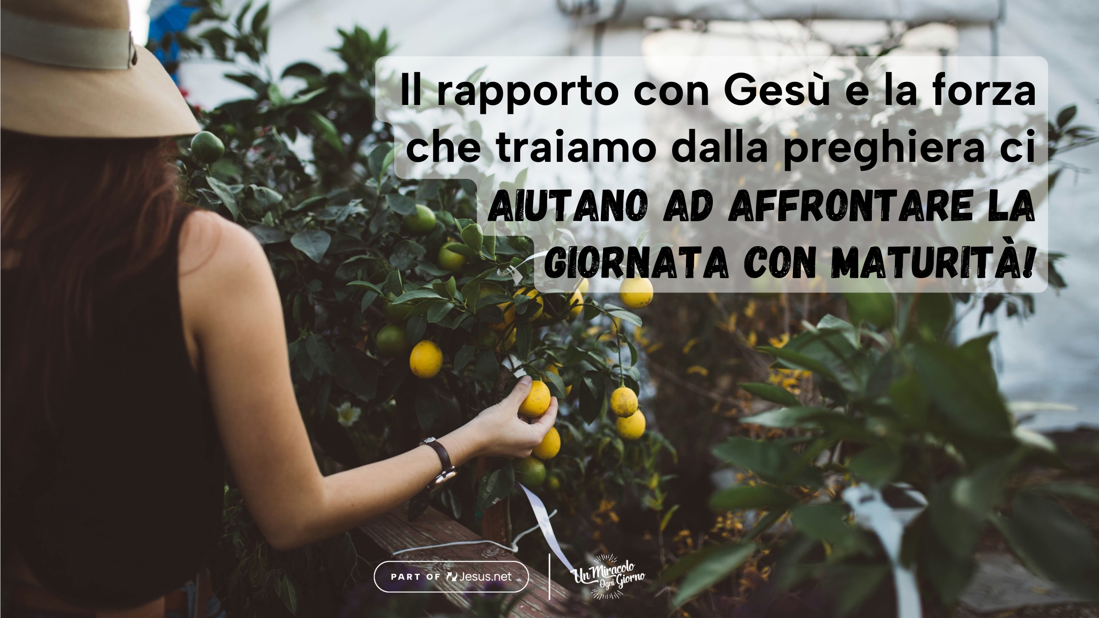 Che cosa hai fatto ieri, Pietro?
