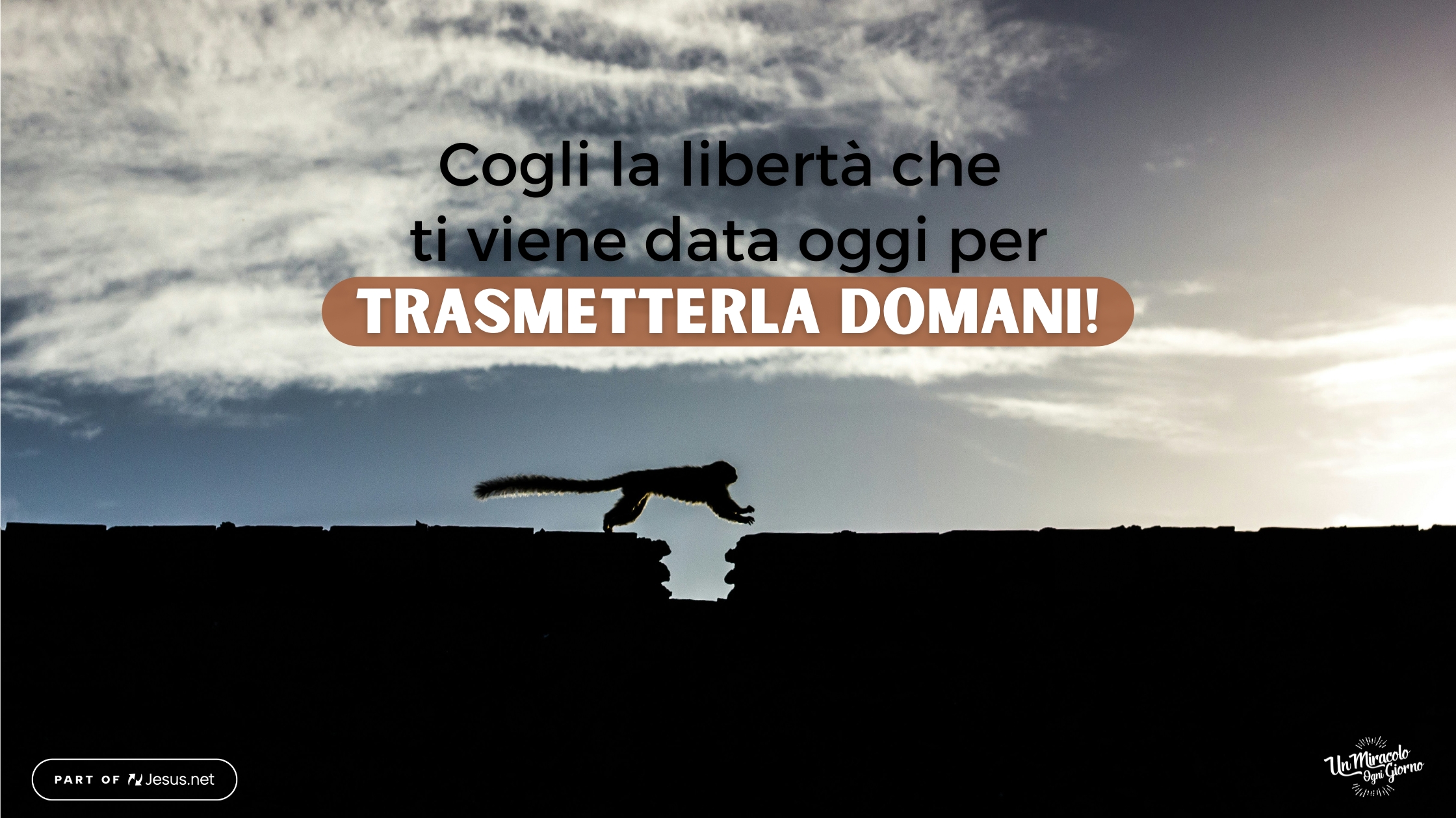 Rispondi, Pietro!