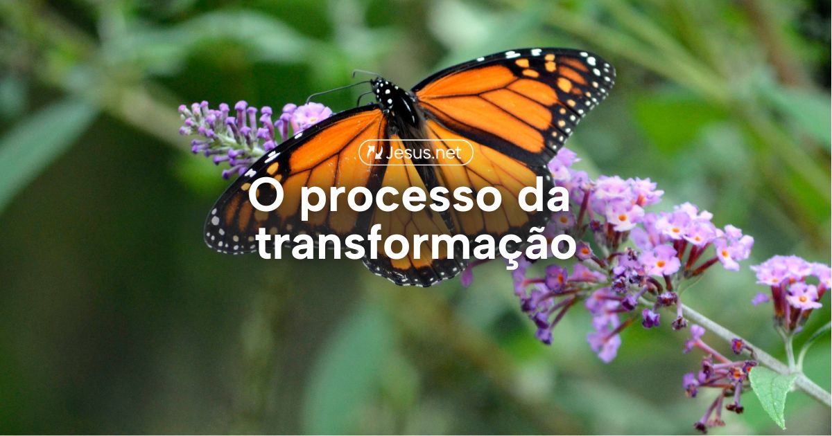 O processo da transformação - por.Jesus.net
